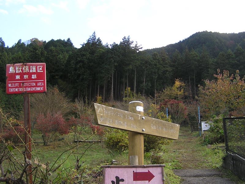 市道山・臼杵山 -- 鳥獣保護区だったのだ