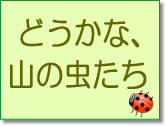 どうかな、山の虫たち