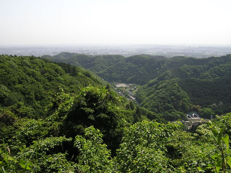 高尾山・稲荷山コース -- 八王子市街地を見渡す