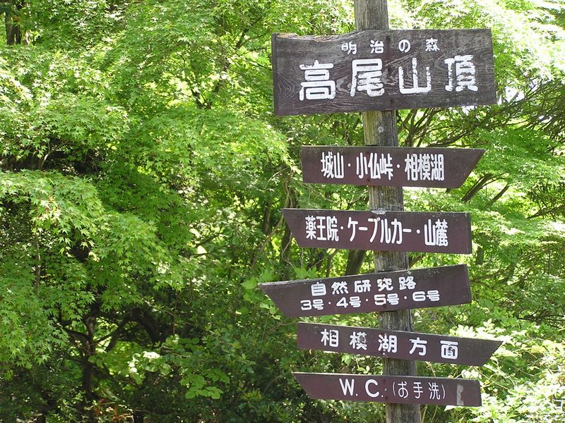 高尾山・稲荷山コース -- 高尾山頂