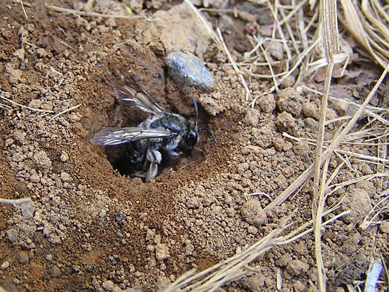 高尾山・稲荷山コース -- ここは人通りの多い登山道なのですが