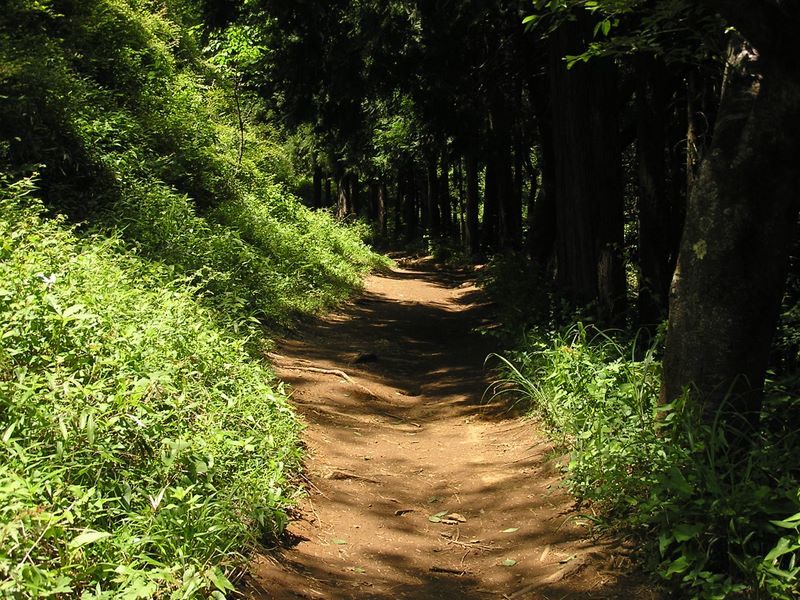高尾山・稲荷山コース -- 人通りの少ないバイパス