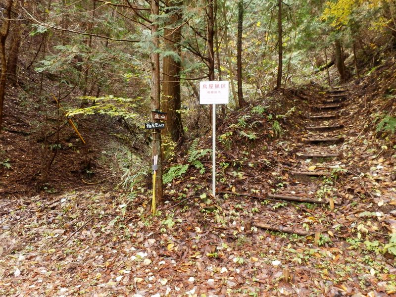 柏原ノ頭登山道入口 (2)