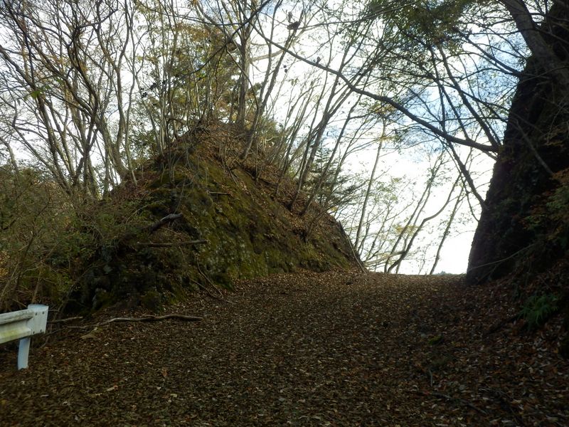 伊勢沢左岸尾根の末端