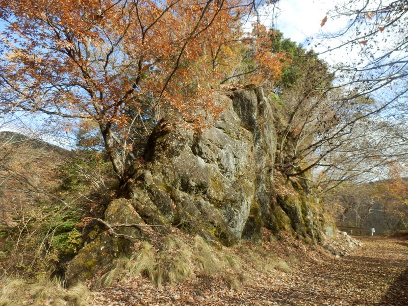 恐竜のような岩