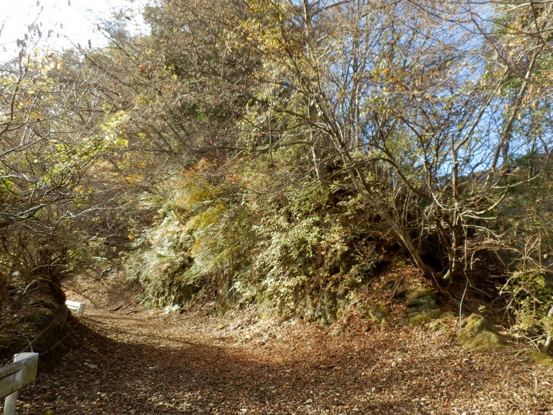 ここから尾根に取り付いた