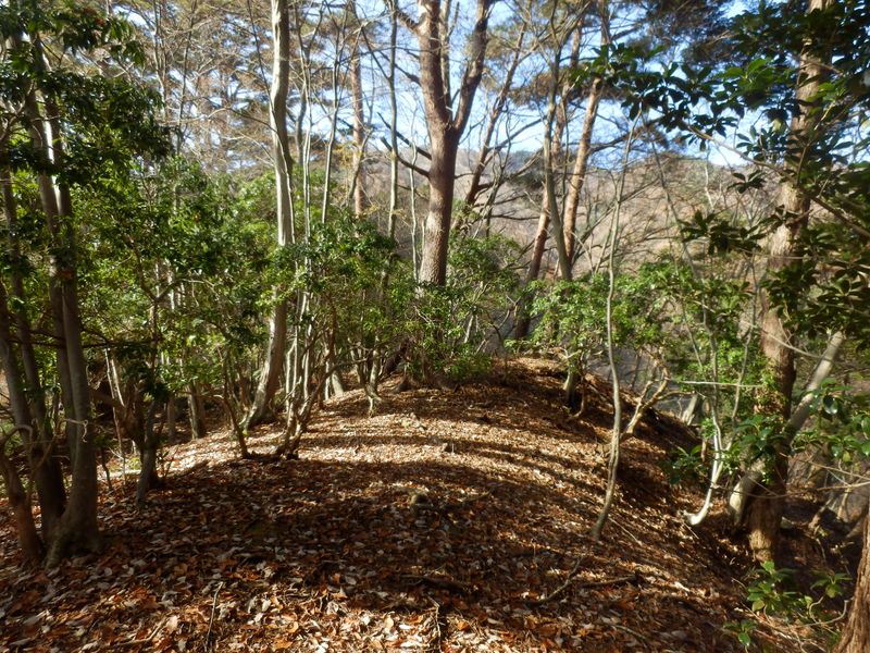 ゆったりと、気分上々