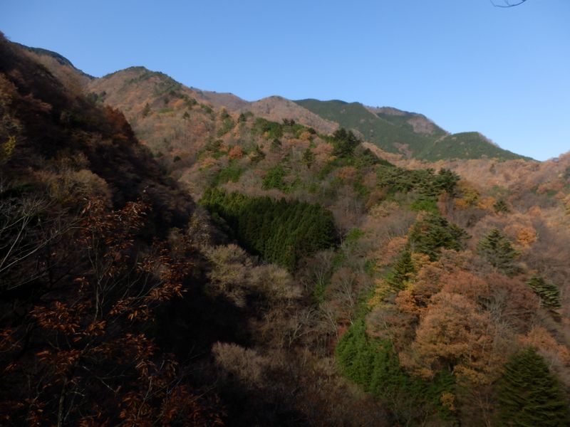 隣にも、そのまた隣にも、きれいな尾根