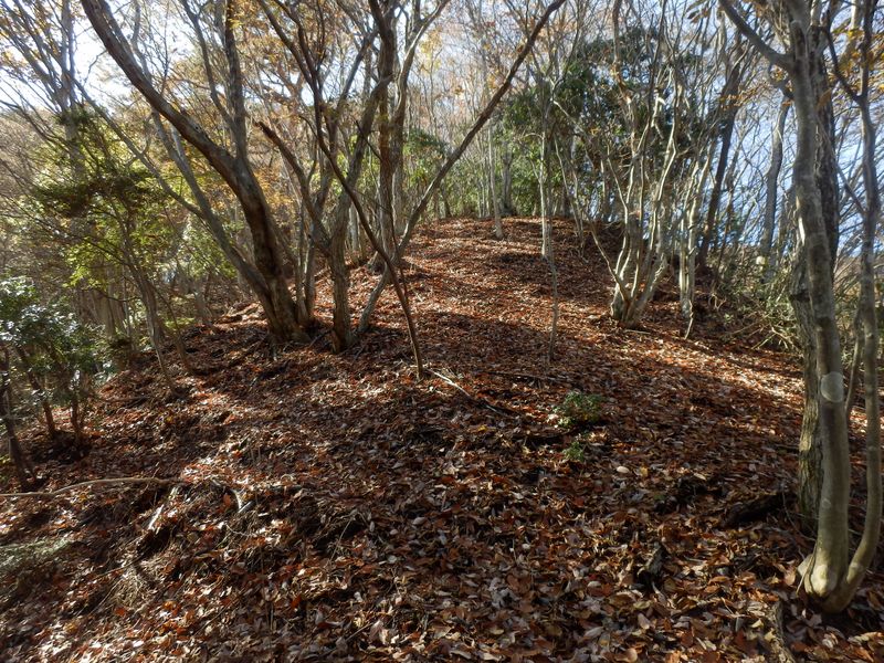 急傾斜だが心地よい尾根