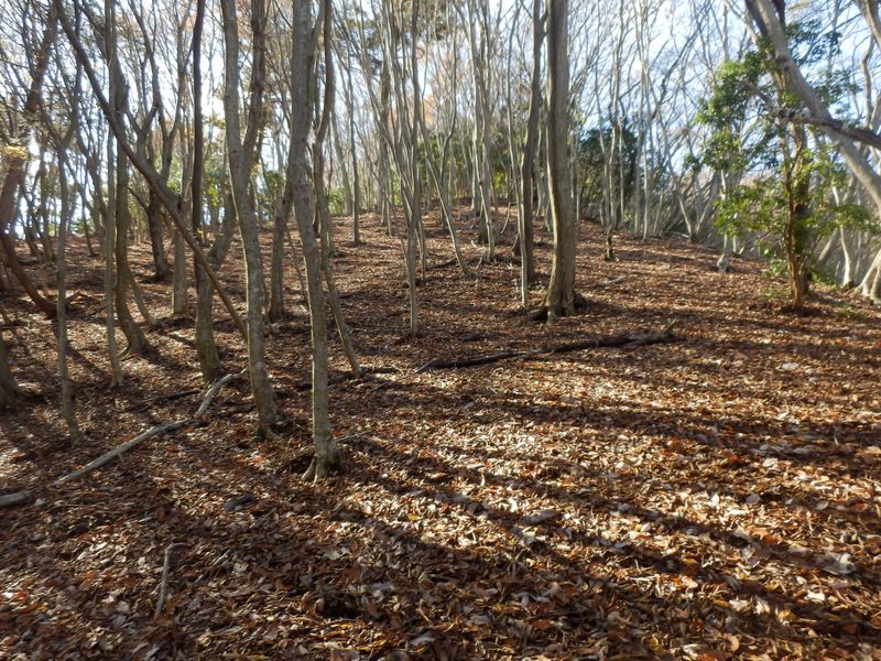 こんなところは、しばらく寝そべりたい