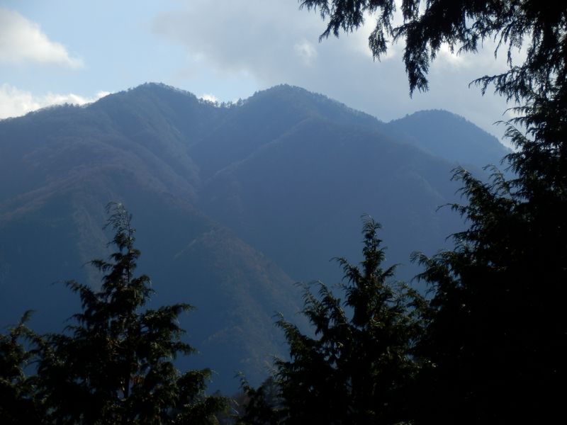 中央の無名ノ頭（旧名：円山木ノ頭）が丹沢三峰の主峰にも見える