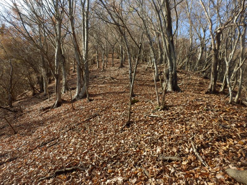 急がずゆっくり歩こう