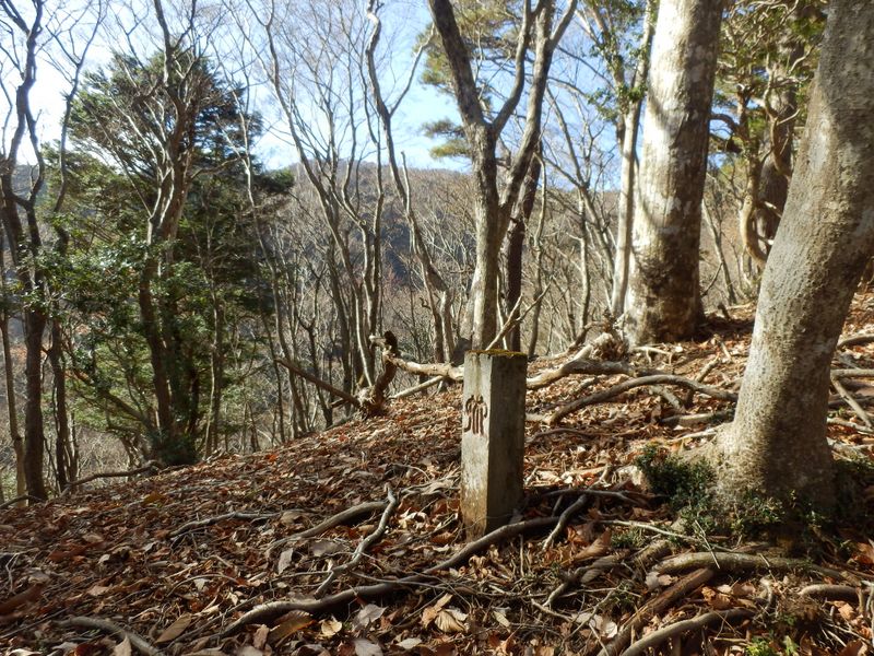 三たび、神奈川県の石標