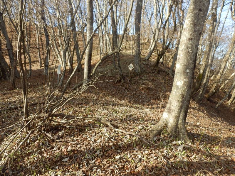 東海自然歩道を横断する