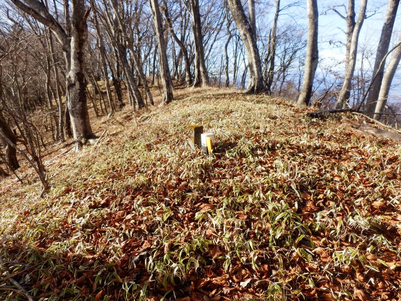 伊勢沢左岸尾根はここまで
