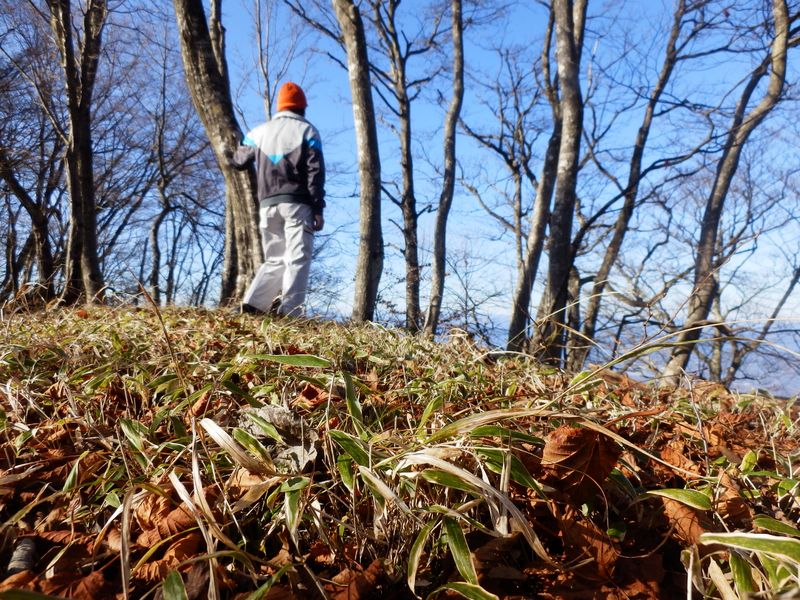 定番のセルフポートレート