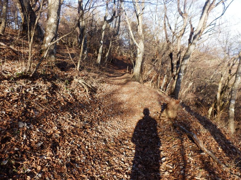 東海自然歩道を東へ