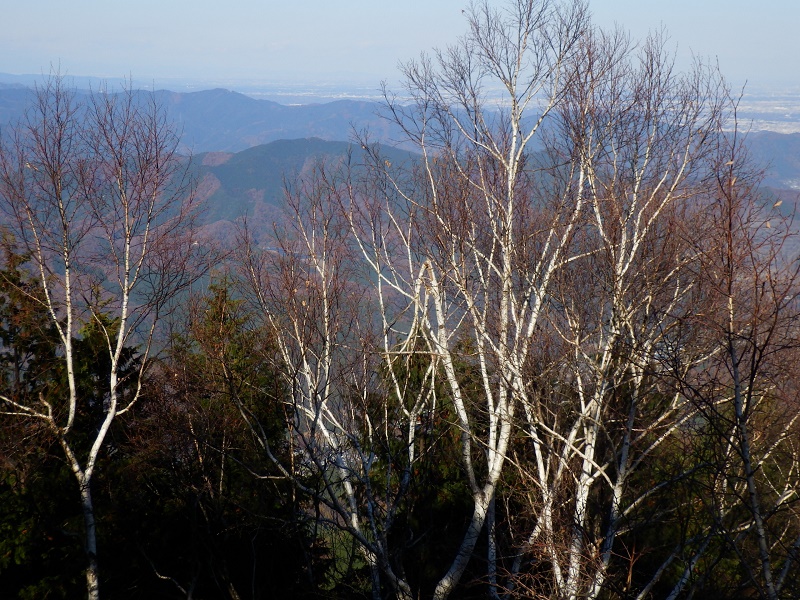 焼山展望台から石老山