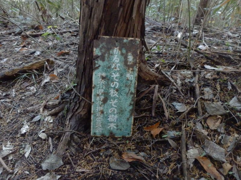 古いものですね