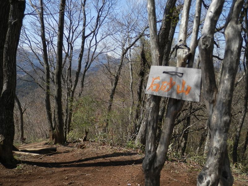 正面に富士山、その左に大室山