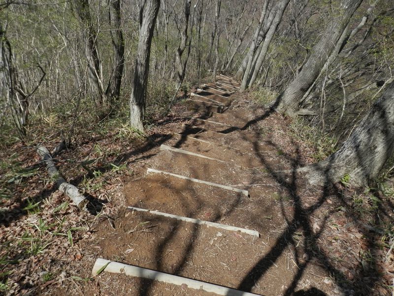 石砂山東峰から西峰への鞍部に向かって下る