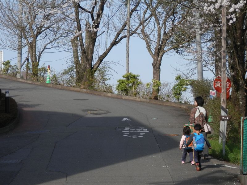 やまなみ温泉のソメイヨシノは、『二分咲き残り』だった