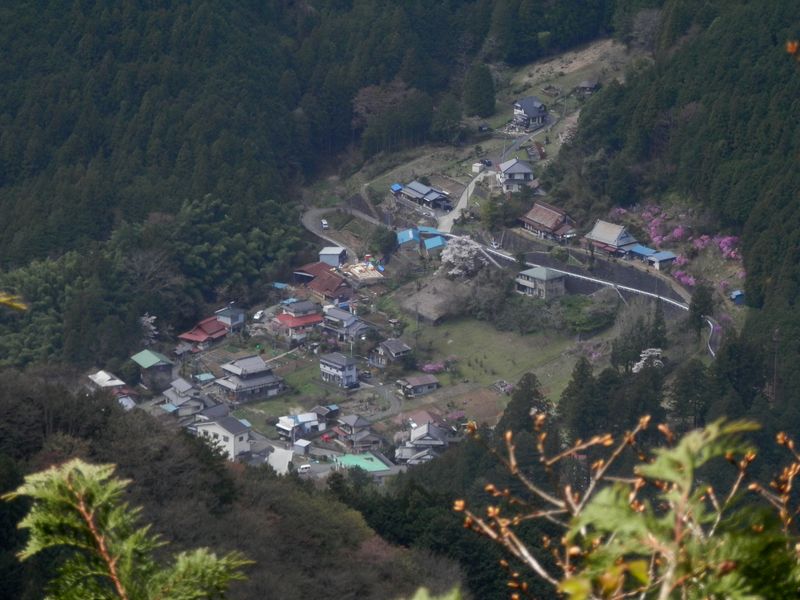 大丹波の集落が見える