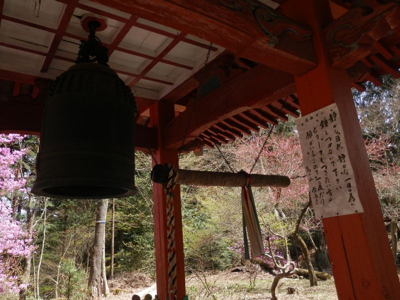 「どうしてもつきたい方は願がいをこめて一度だけ」