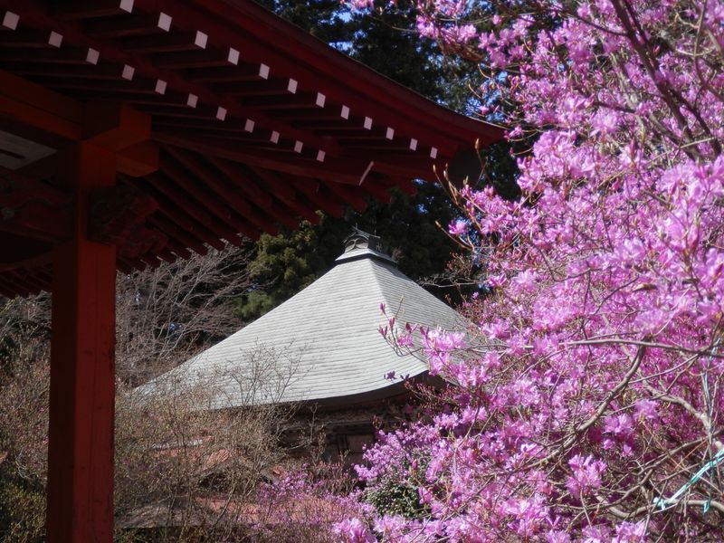 常福寺鐘楼の軒下から本堂を望む