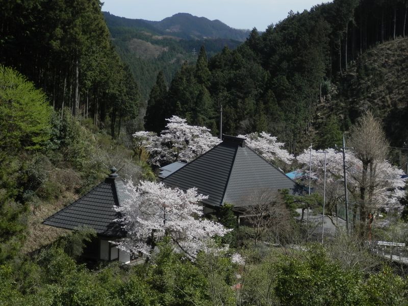 高源寺が見えて来た