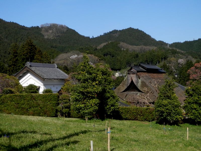 軍畑駅からも見える大きな屋根