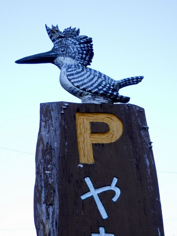 マスコットシンボルはヤマセミ