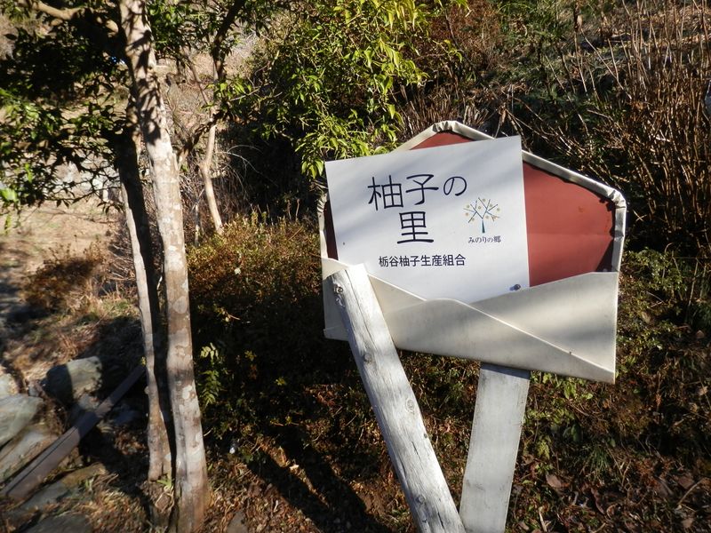 ラブレターがお好きなのかな？