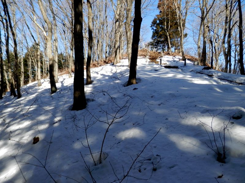 山頂まであと一息