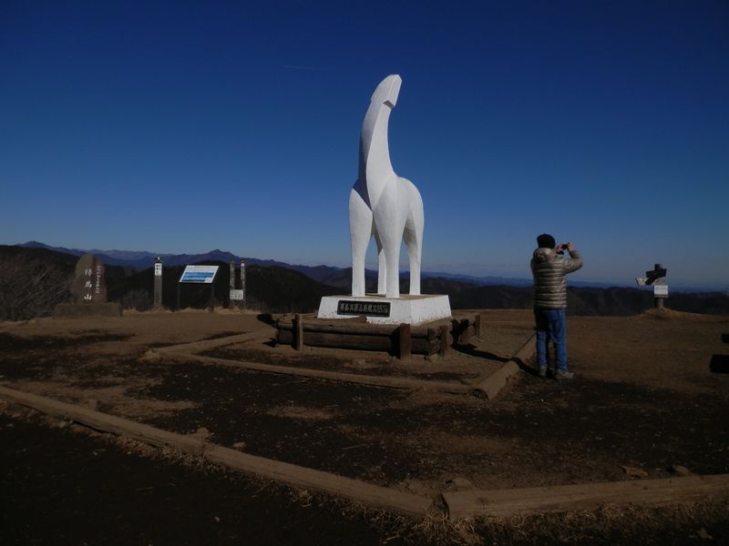 陣馬山頂に到着