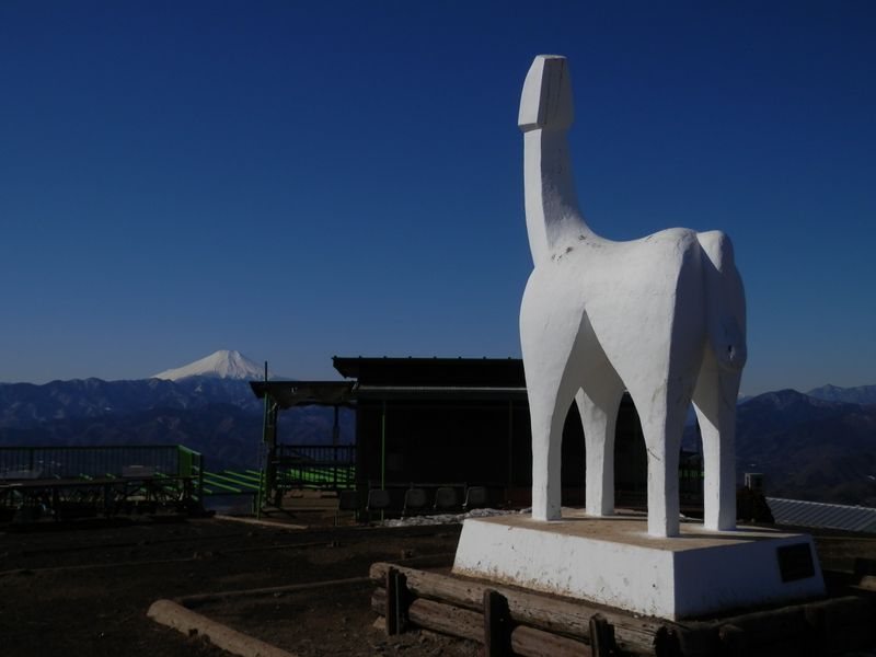 この馬は、富士山ではなく、天を見上げている