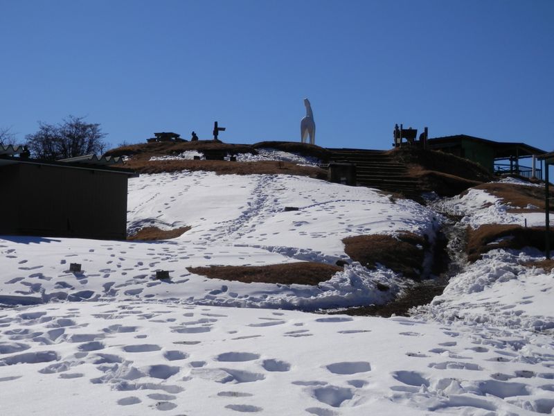 北面より山頂を望む