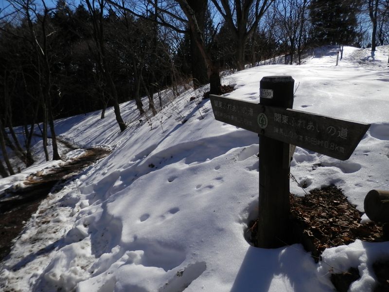 陣馬山頂より、関東ふれあいの道を明王峠に向かう