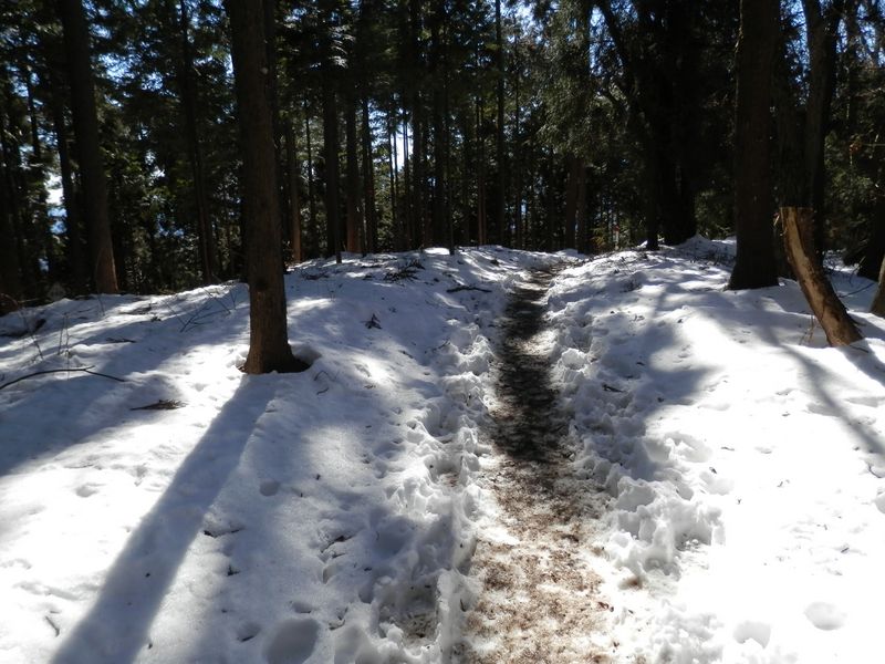 明王峠から与瀬神社に下る