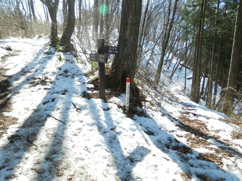 右は奈良本、左は与瀬神社