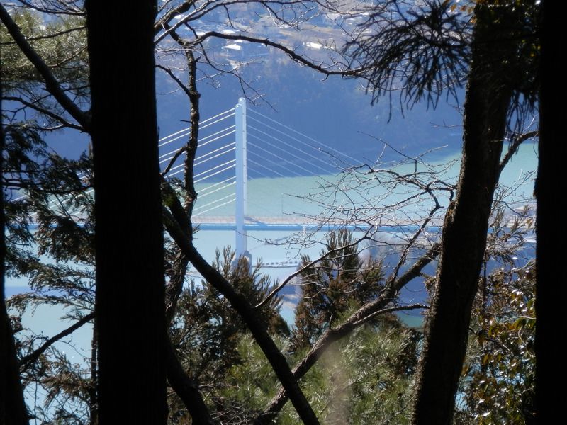 樹木の間に相模湖を望む