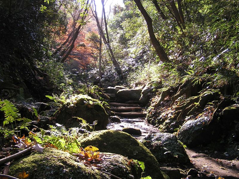 神武寺から鷹取山 -- ロックガーデン風の道