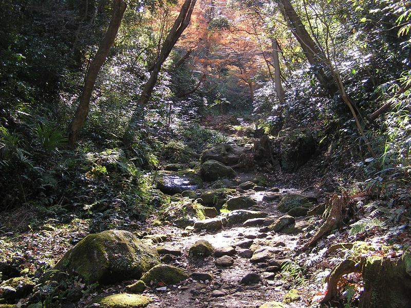 神武寺から鷹取山 -- ロックガーデン風の道 2