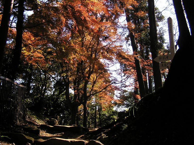 神武寺から鷹取山 -- まもなく神武寺境内