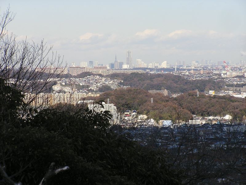 鷹取山展望台より、横浜ランドマークタワーを望む