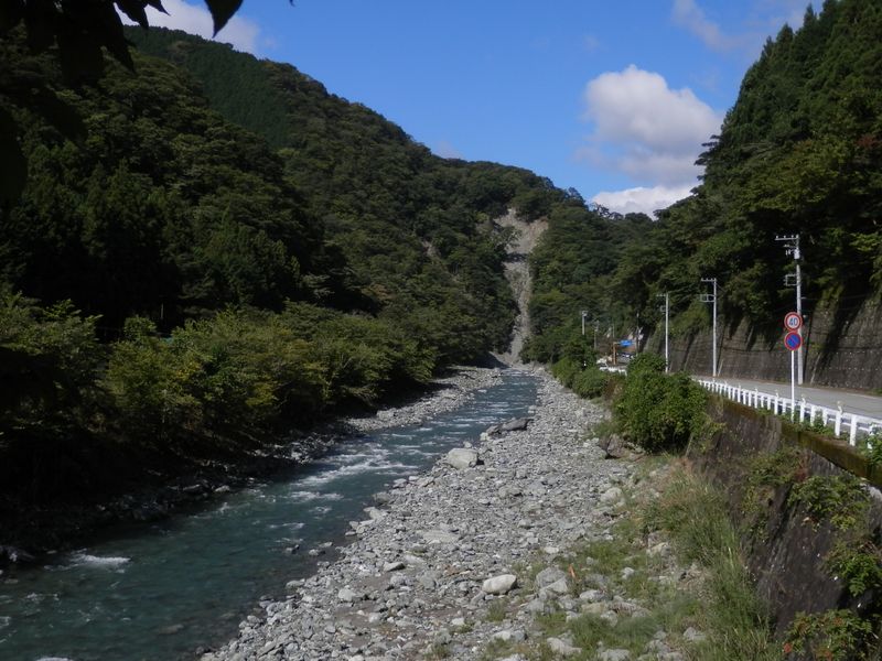 世附川に“浅瀬”が見られるようになった