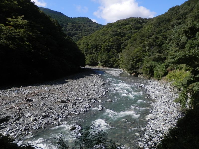 気持ちよさそうな“浅瀬”