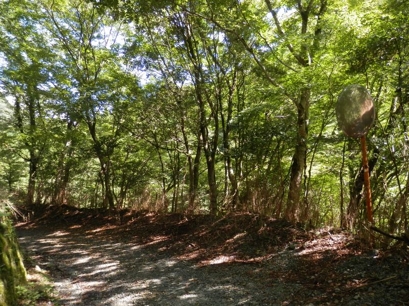 ここのカーブミラーは古いが現役