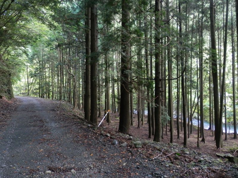 ここでは一息つけた