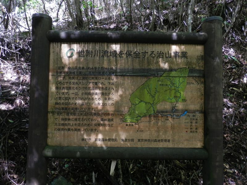 宝永スコリアって